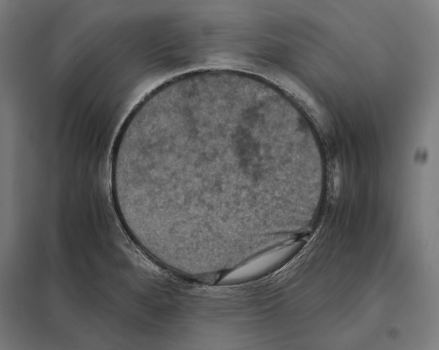 X0000097601280200803280942