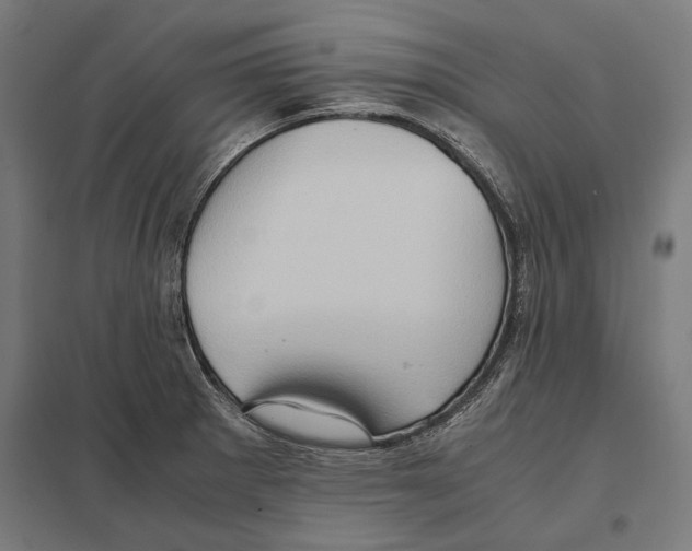 X0000097601281200803280942