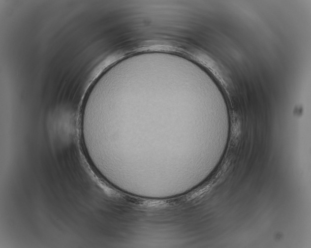 X0000097601282200803280942