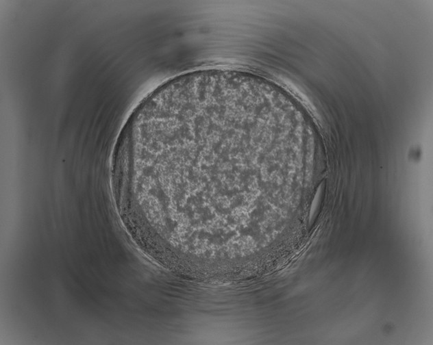 X0000097601283200803280942