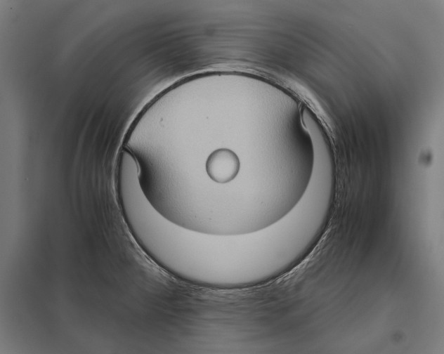 X0000097601284200803280942