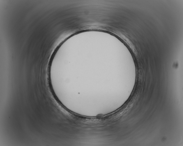 X0000097601285200803280942