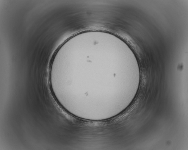 X0000097601286200803280942