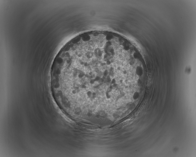 X0000097601287200803280942