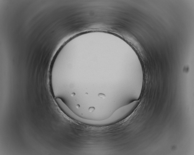 X0000097601288200803280942