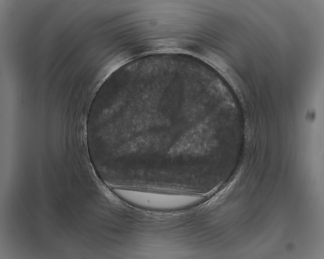 X0000097601289200803280942