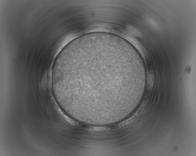 X0000097601290200803280942