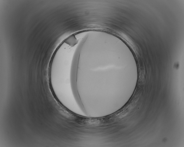 X0000097601291200803280942