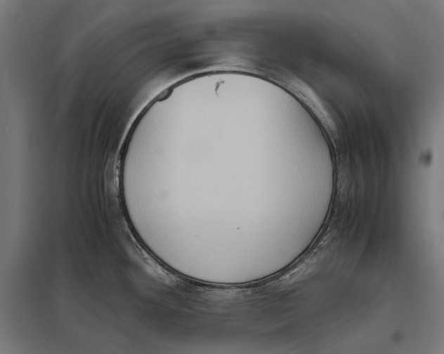 X0000097601292200803280942