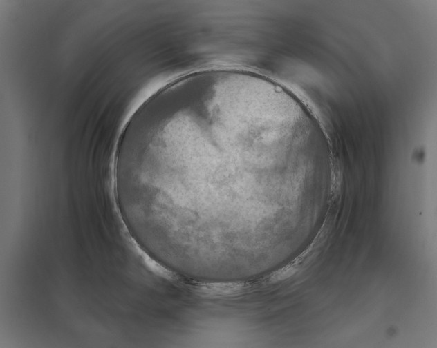 X0000097601294200803280942