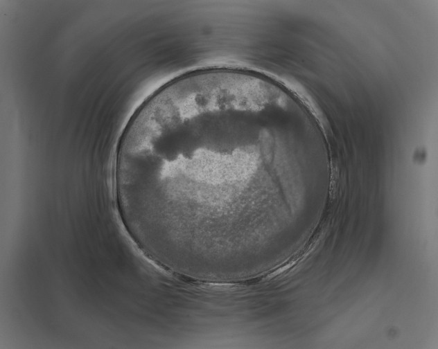 X0000097601295200803280942