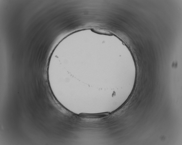 X0000097601296200803280942