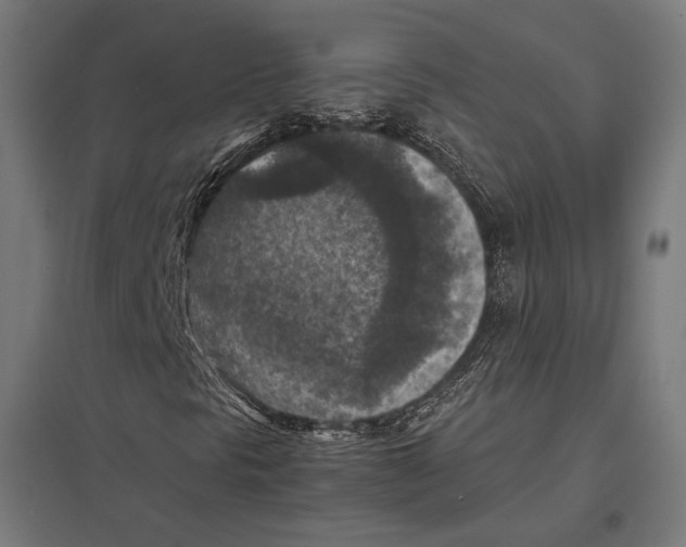 X0000097601297200803280941