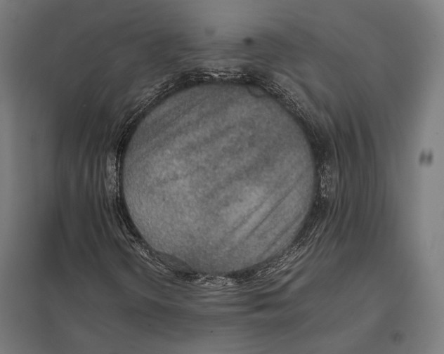 X0000097601298200803280941