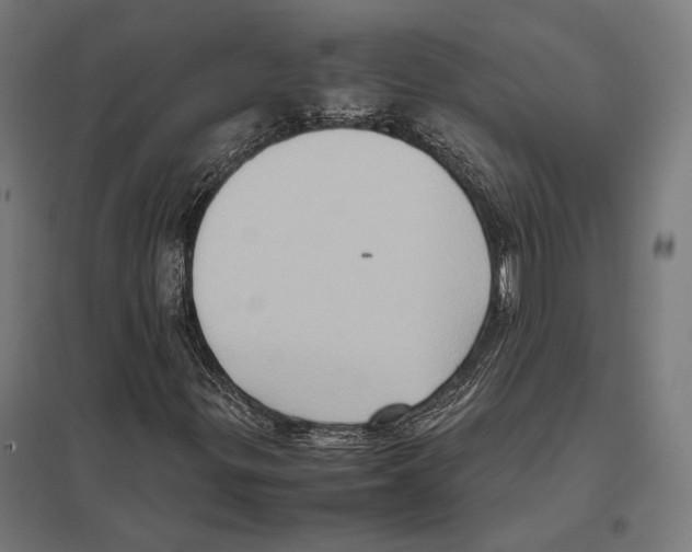 X0000097601299200803280941