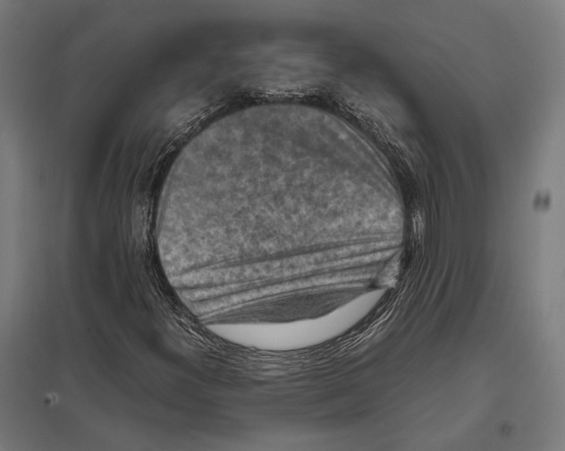 X0000097601300200803280941