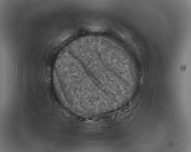 X0000097601301200803280941