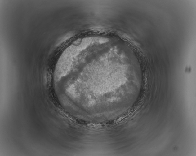 X0000097601302200803280941