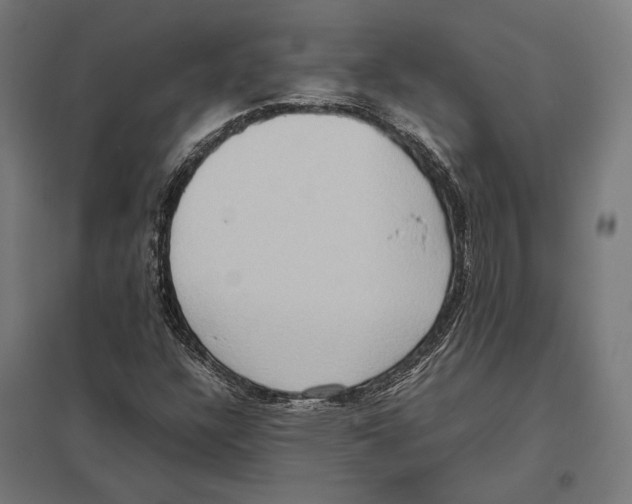 X0000097601304200803280941