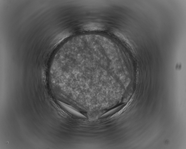 X0000097601305200803280941