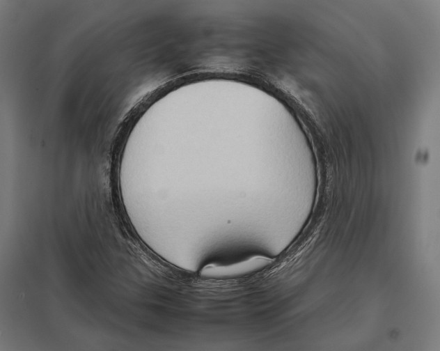 X0000097601307200803280941