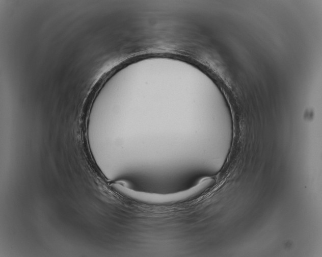 X0000097601308200803280941