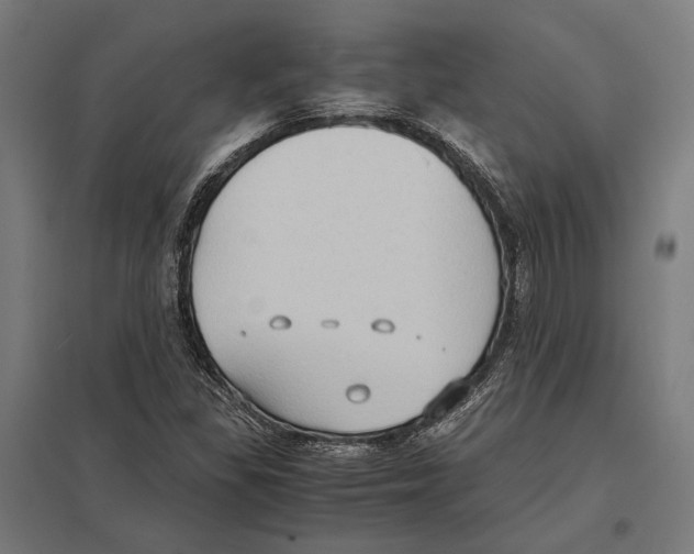 X0000097601309200803280941