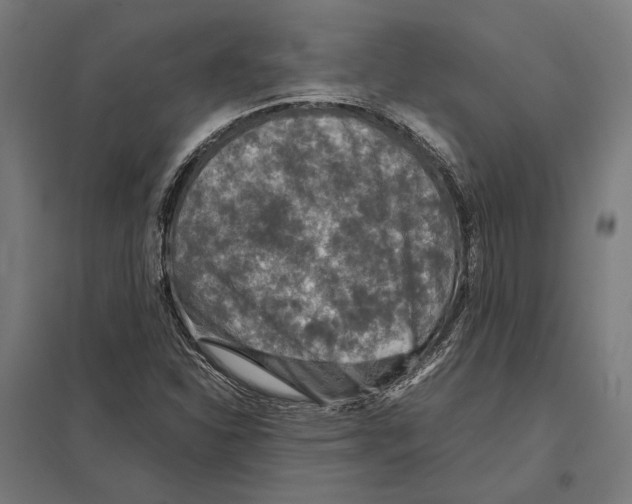 X0000097601310200803280941