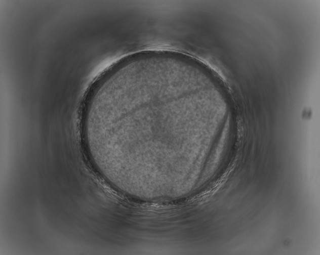 X0000097601311200803280941