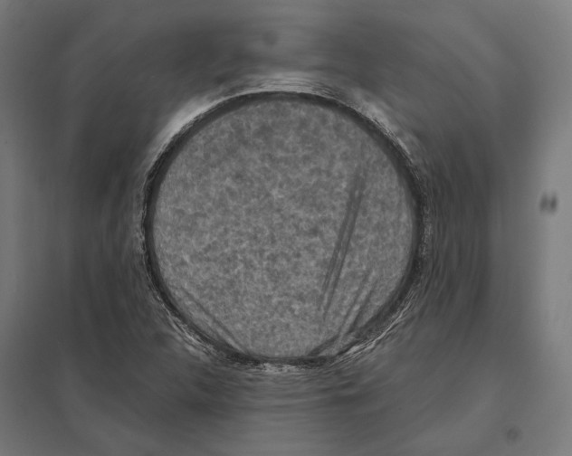 X0000097601312200803280941