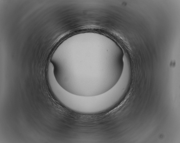 X0000097601313200803280941