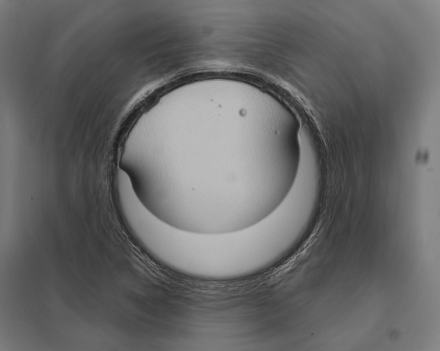 X0000097601314200803280941