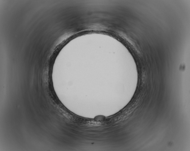 X0000097601315200803280941