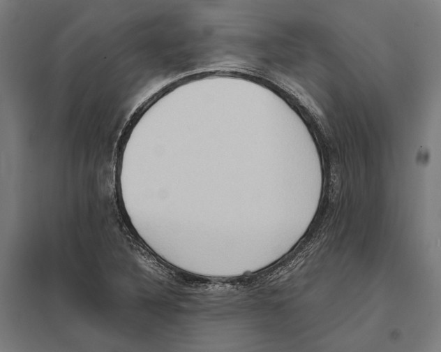 X0000097601316200803280941