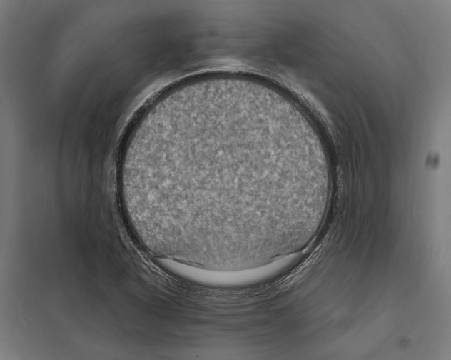 X0000097601318200803280941