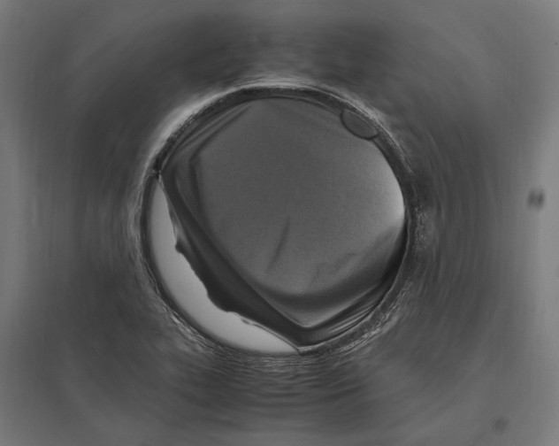 X0000097601319200803280941