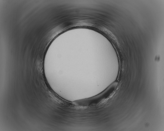 X0000097601321200803280941