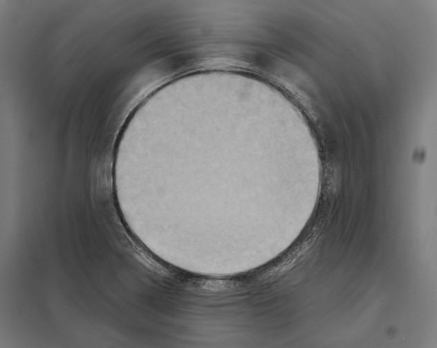 X0000097601322200803280942