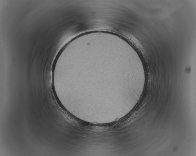 X0000097601324200803280942