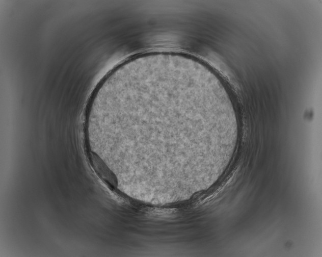 X0000097601325200803280942