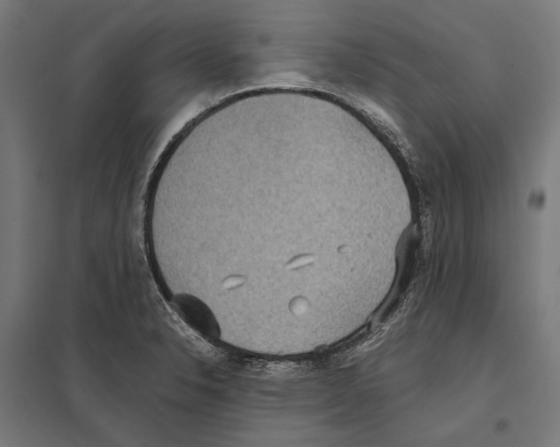 X0000097601326200803280942