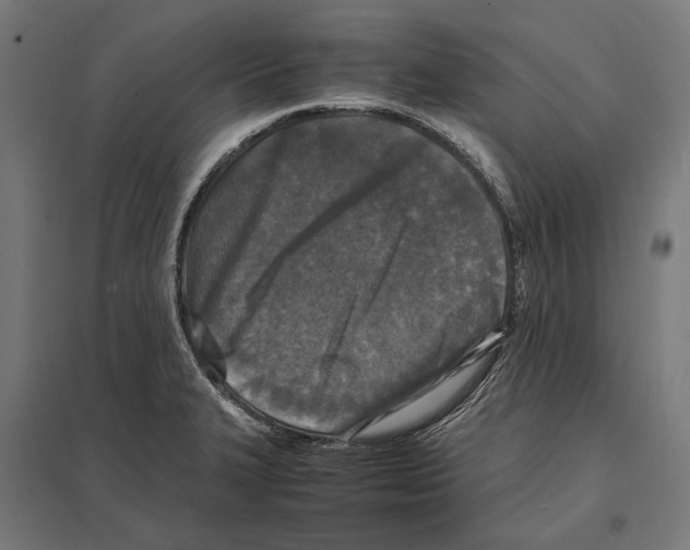 X0000097601327200803280942