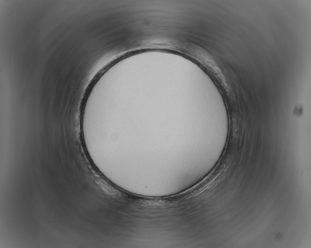 X0000097601328200803280942