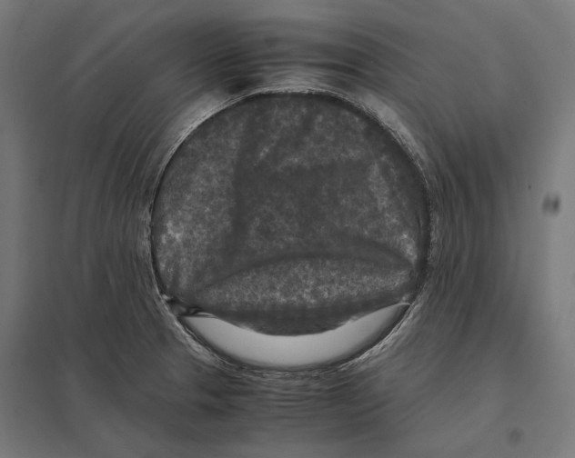 X0000097601329200803280942