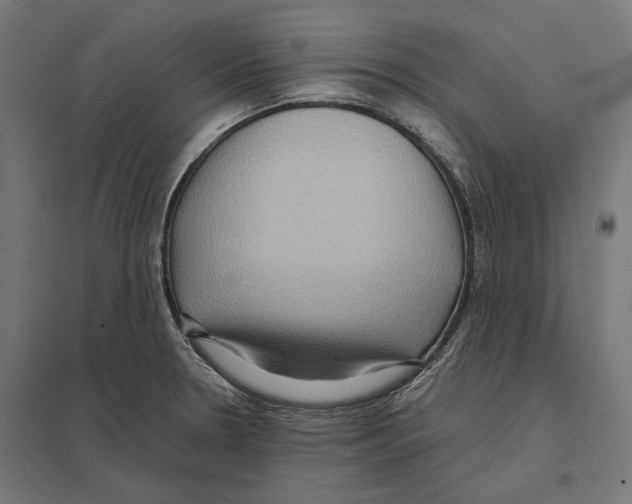 X0000097601330200803280942