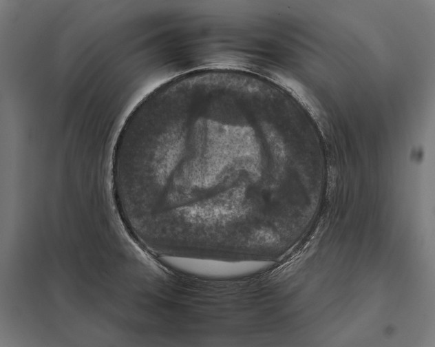 X0000097601331200803280942