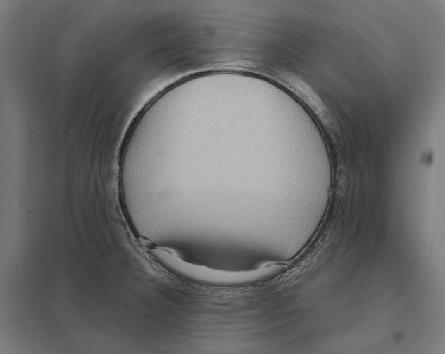 X0000097601332200803280942