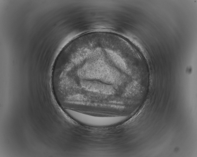 X0000097601333200803280942