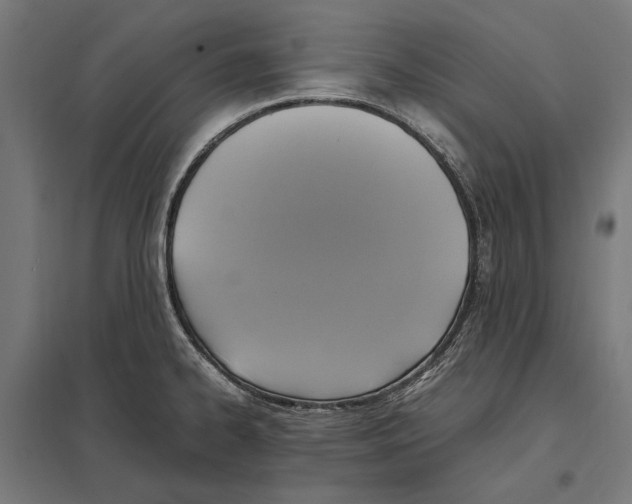 X0000097601334200803280942