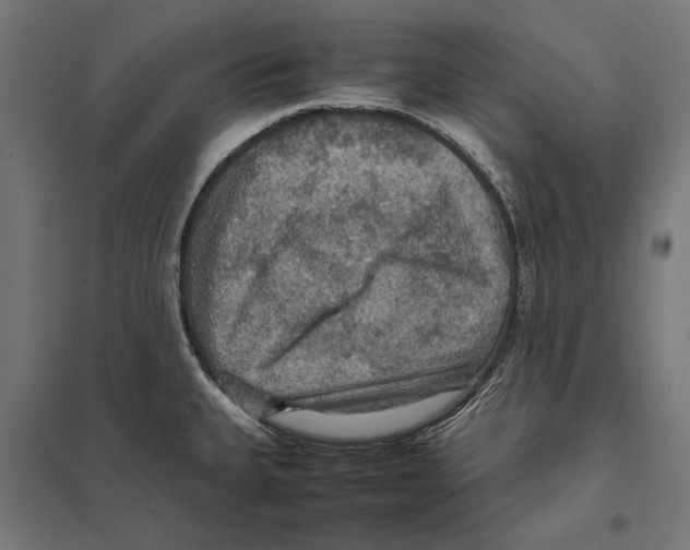 X0000097601335200803280942